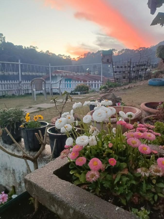 Mohraj Home Stay Bhowali Esterno foto