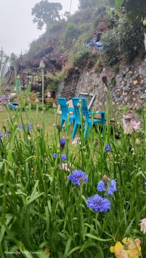 Mohraj Home Stay Bhowali Esterno foto