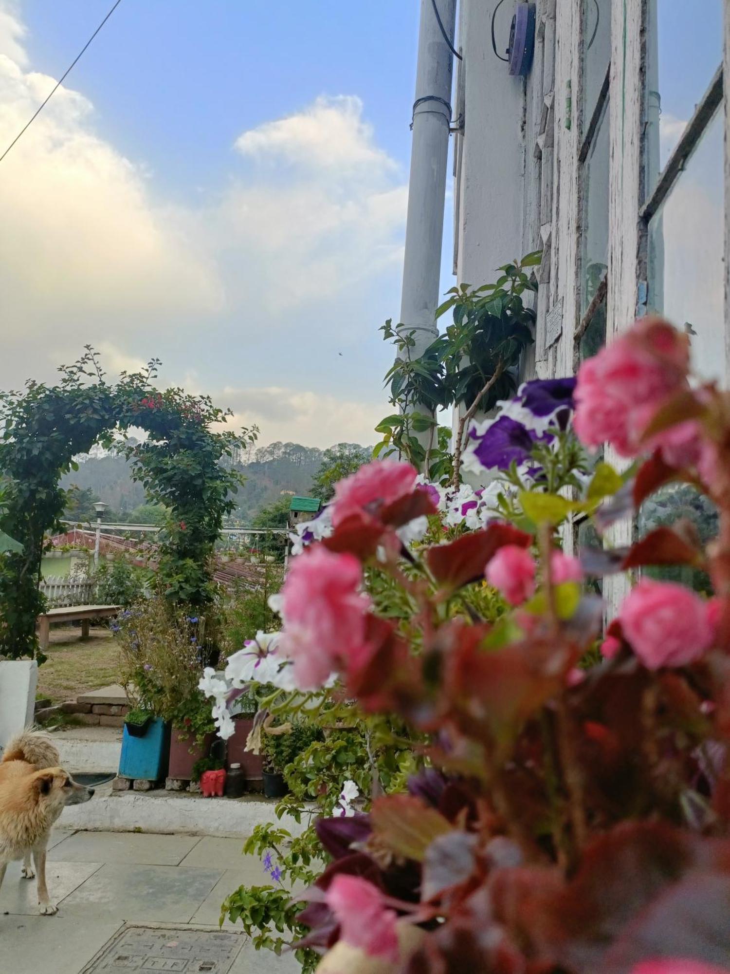 Mohraj Home Stay Bhowali Esterno foto